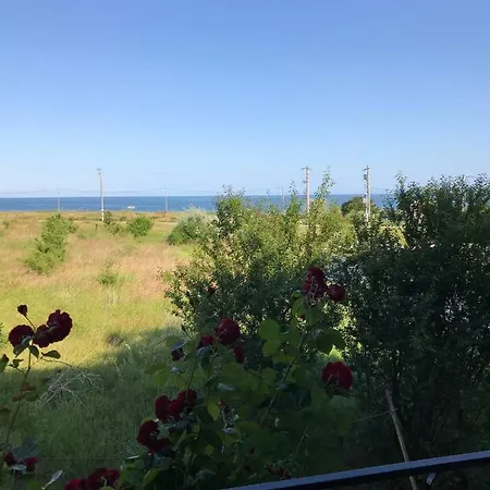 Pensionat Vila Omi Costinesti